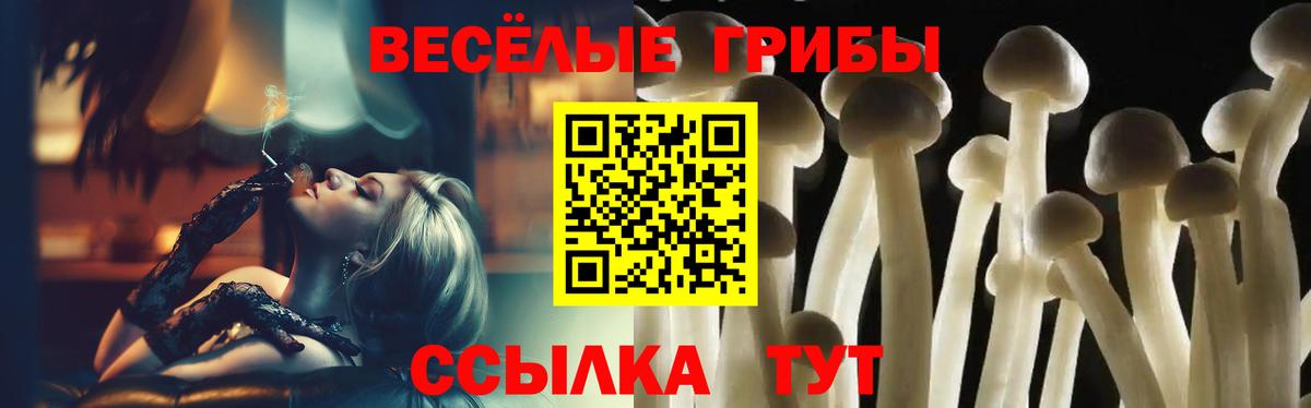 Галлюциногенные грибы Cubensis  Вход с VPN  Джанкой  Галлюциногенные грибы MAGIC MUSHROOMS 